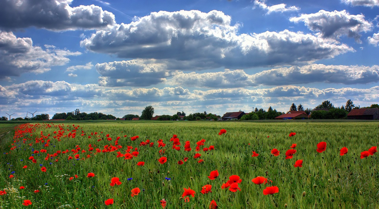 Surrounded by Goodness_On Good Nature And Bad Nature