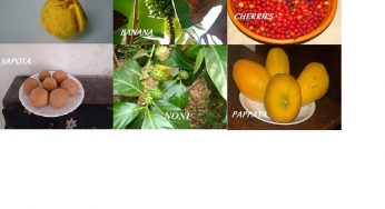 Introducing a few of the Super Fruits