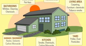 How harmful is household air pollution?