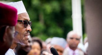 Nigeria’s Economic Diversification Is On Course, Says Buhari