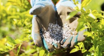 Nasarawa Commences Installation Of Imported Fertilizer Blending Plants