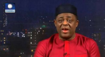 PDP Has No Links With Cambridge Analytica, Election Manipulation – Fani-Kayode