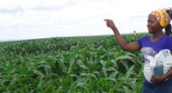 How to build, maintain soil fertility