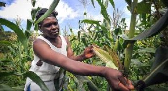 Agriculture Is The New Oil, How Do I Tap In?