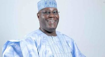 Reordered election battle: We can’t be disbanded – Pro-Buhari senators