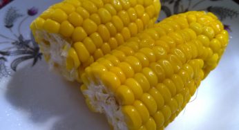 How to Steam Corn Cob in Rice Cooker
