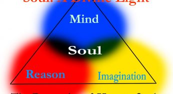 How do Mind, Reason and Imagination Work in Human Brain?