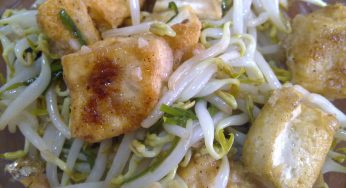 Stir Fry Bean Sprouts with Tofu Cubes