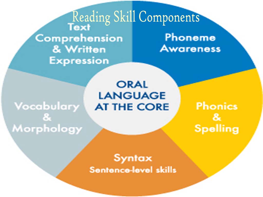 Basic Reading Skill Components Using in the Class - LiteracyBase