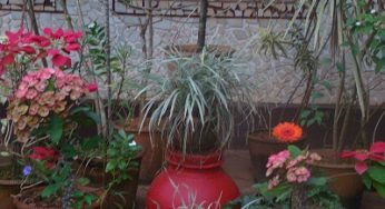 Garden Artefacts and Their Use