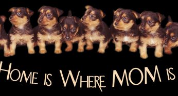 Home is where MOM is! – a short story