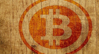 Never rely on Bitcoin Earning for Sustainable Income