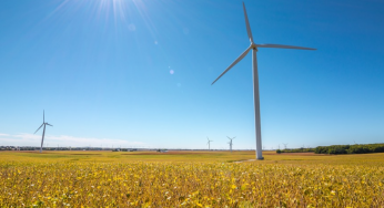 Things We Can Do to reduce Pollution