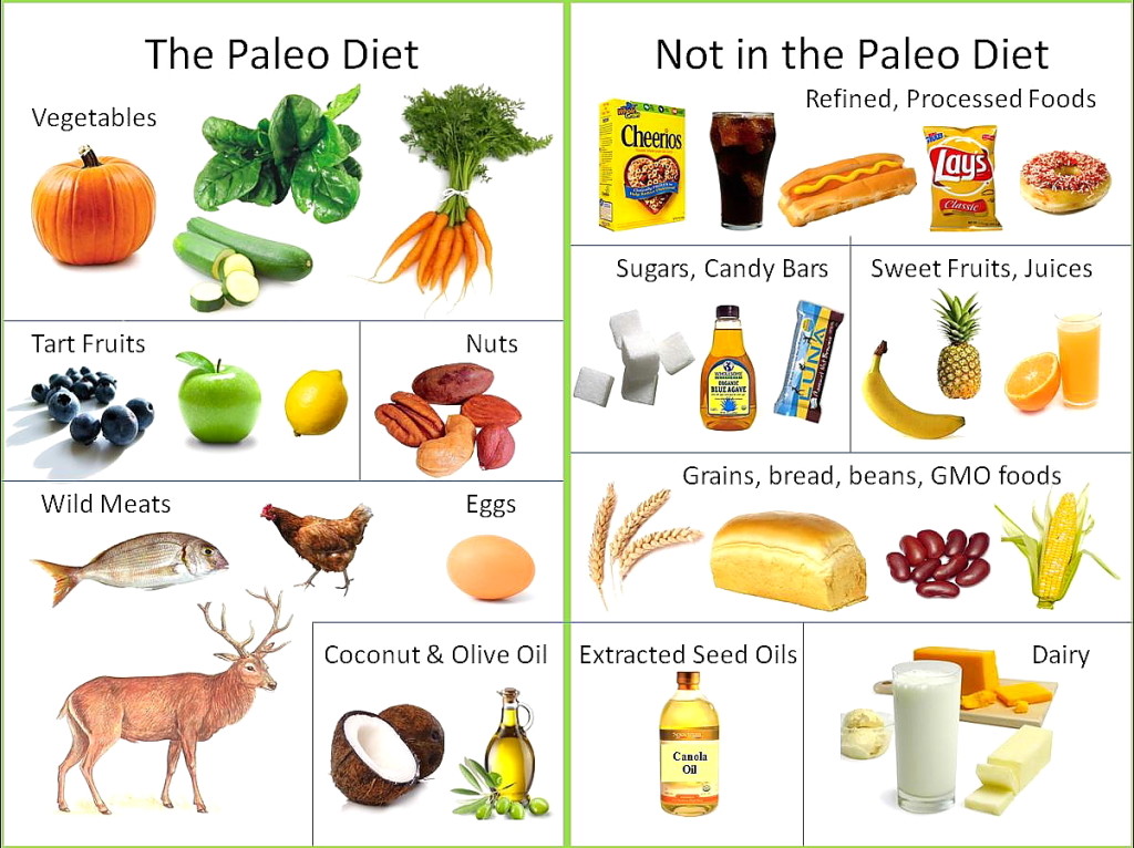 best paleo diet plan