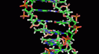 biochemisty world science’ in terms of RNA