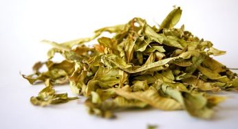Some Herbs With Their Nutritional Values