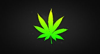 My opinion on marijuana legalization