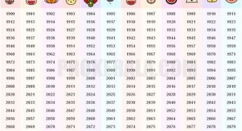 Do You Know Your Zodiac In The Chinese Calendar?
