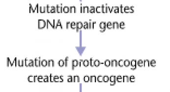 Cancer:::: pathophysiology, diagnosis, classification and prevention.