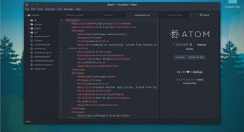 Code Editor Options for Windows and Linux