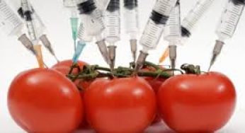 Genetically Modified Foods; No Thanks