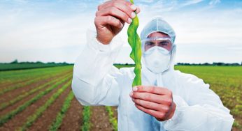 Group Launches Apps To Promote Agribusiness