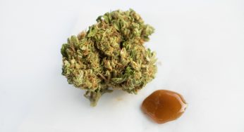 Why Should You Vape Or Dab Marijuana Concentrate?