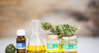 Ultimate Guide to Understanding the Different Types of CBD Oil