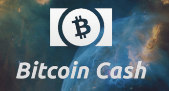 The Highly Anticipated Bitcoin Cash has Fallen Nearly 90% From Its High Position